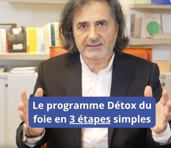 SDN x DDF – Multi-ads n°40