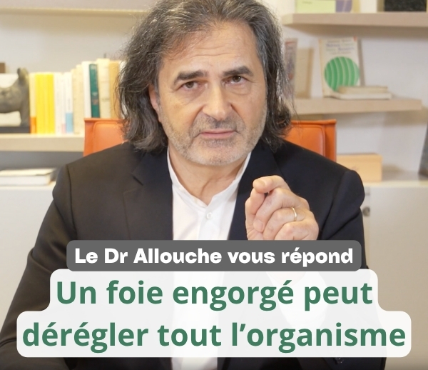 SDN x DDF – Multi-ads n°45