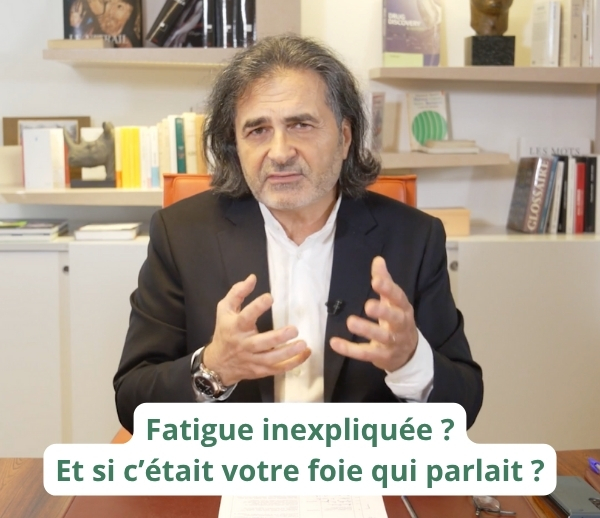SDN x DDF – Multi-ads n°47