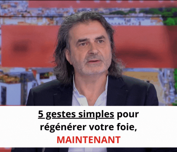 SDN x DDF – Multi-ads n°52