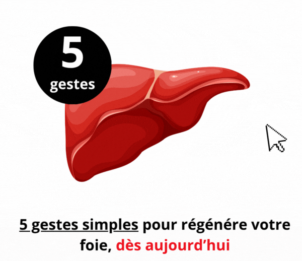SDN x DDF – Multi-ads n°53