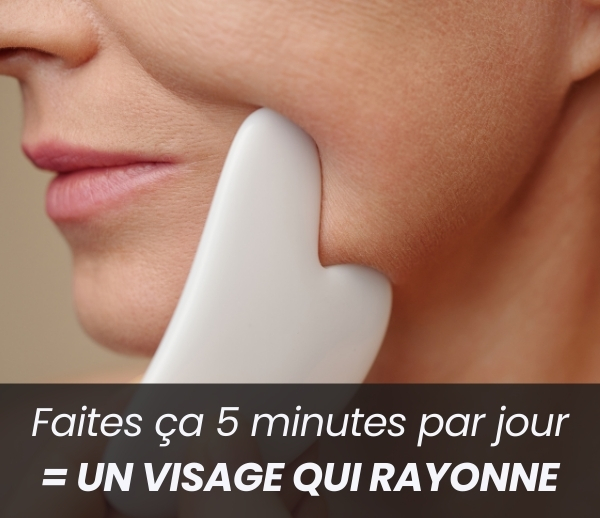 SDN x FAC – Multi-ads n°15