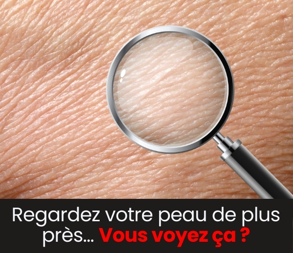 SDN x FAC – Multi-ads n°18