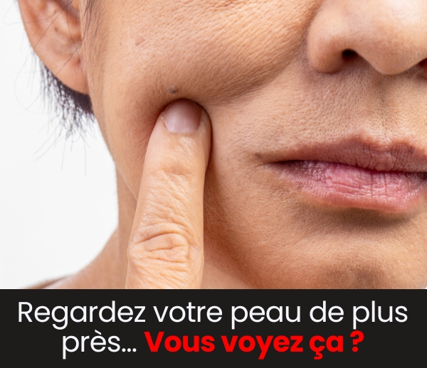 SDN x FAC – Multi-ads n°20
