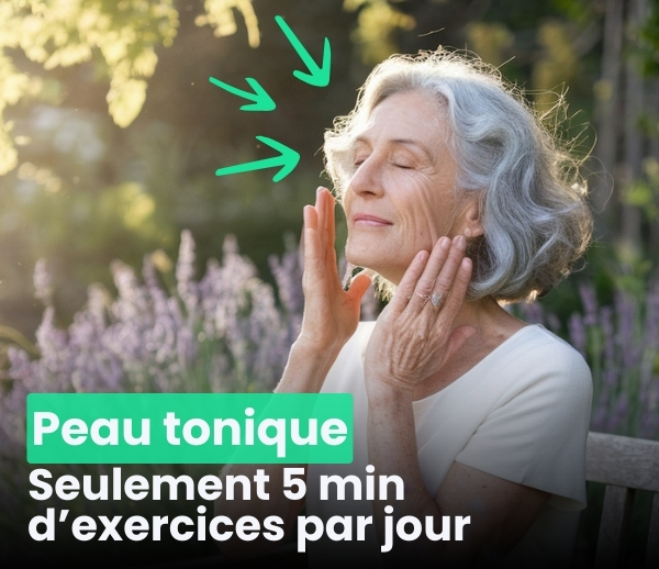 SDN x FAC – Multi-ads n°4
