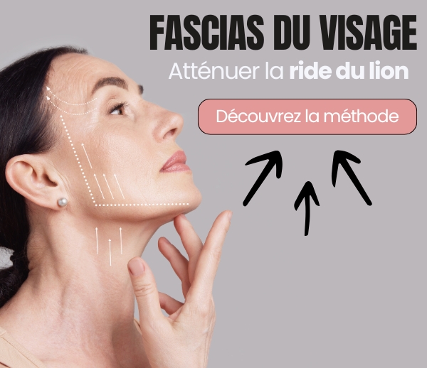 SDN x FAC – Multi-ads n°7