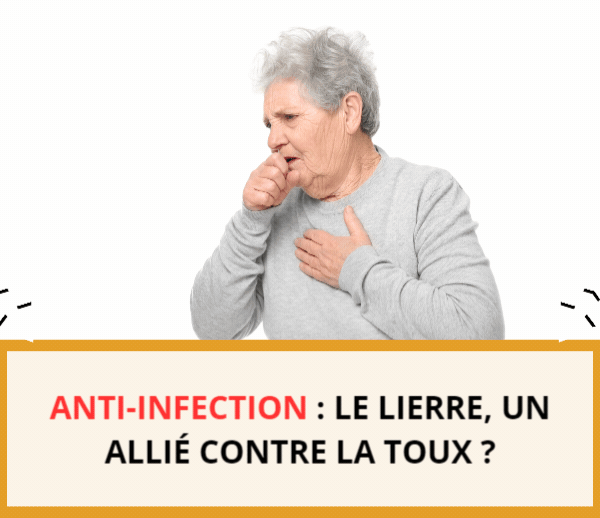 SDN x INF – Multi-ads n°14