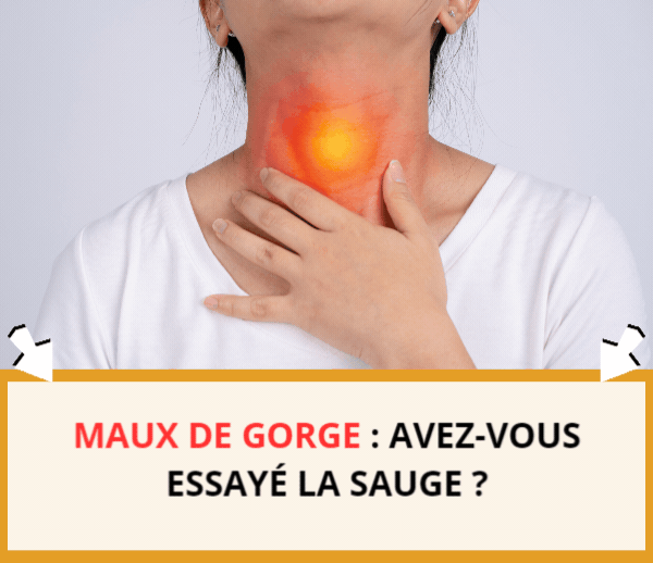 SDN x INF – Multi-ads n°15