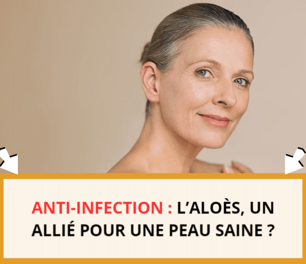 SDN x INF – Multi-ads n°18
