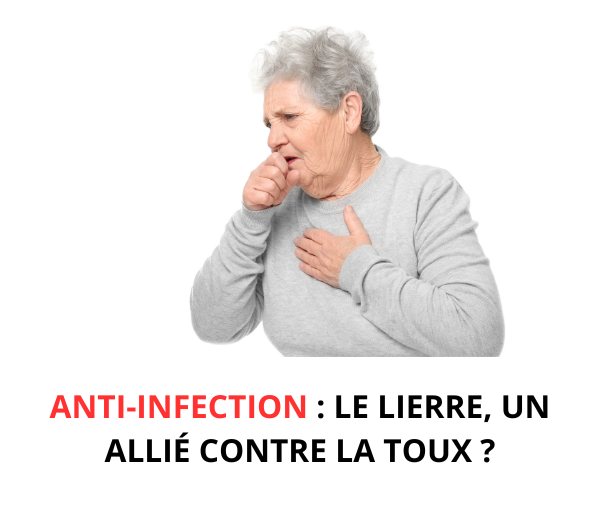 SDN x INF – Multi-ads n°4