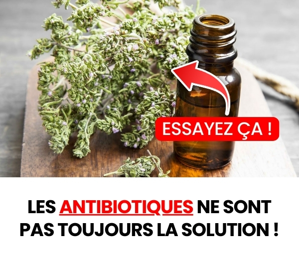 SDN x INF – Multi-ads n°41 (V3)