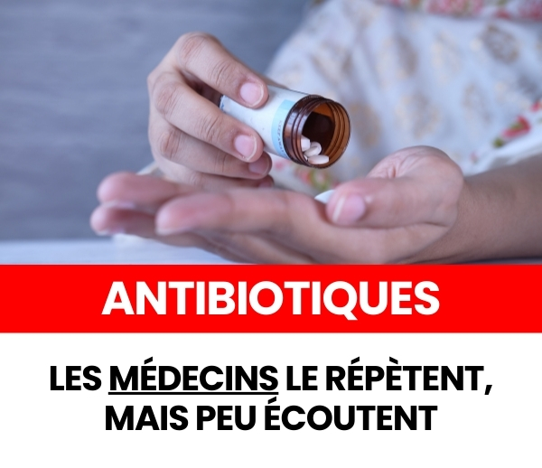 SDN x INF – Multi-ads n°42 (V3)