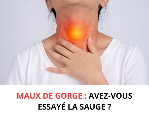 SDN x INF – Multi-ads n°5
