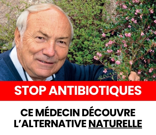 SDN x INF – Multi-ads n°50 (V3)