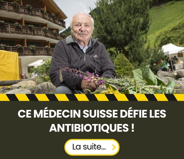 SDN x INF – Multi-ads n°53 (V3)