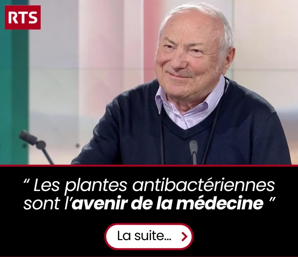 SDN x INF – Multi-ads n°56 (V3)
