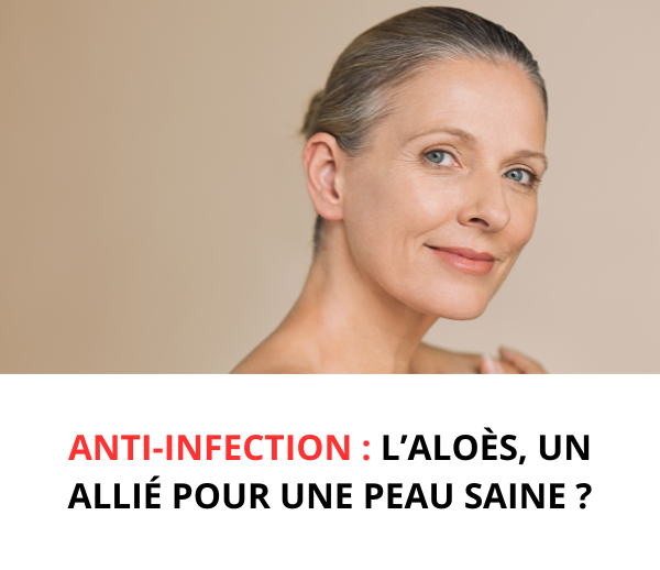 SDN x INF – Multi-ads n°8