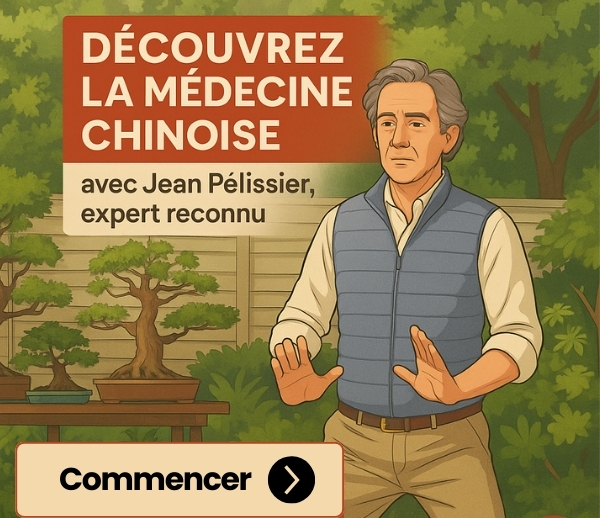 SDN x MTC – Multi-ads n°6