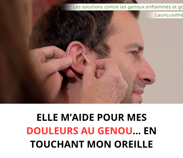 SDN x NAP – Multi-ads n°15