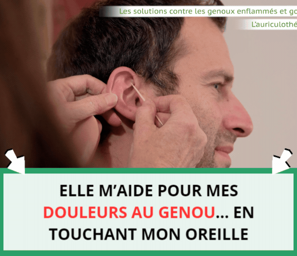 SDN x NAP – Multi-ads n°22