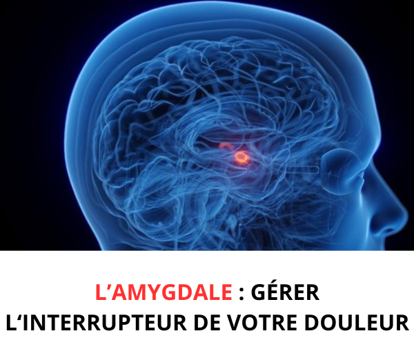 SDN x SDL – Multi-ads n°5