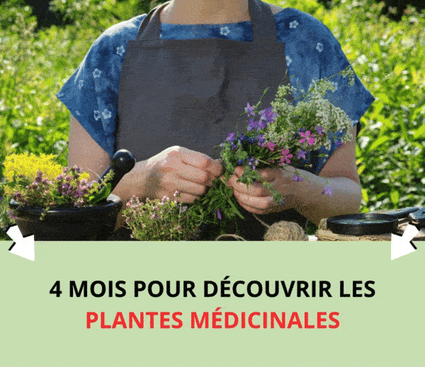 SDN x TBN – Multi-ads n°16