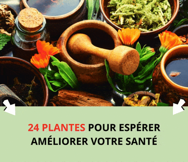 SDN x TBN – Multi-ads n°18