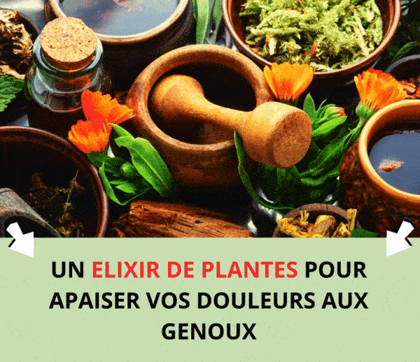 SDN x TBN – Multi-ads n°20