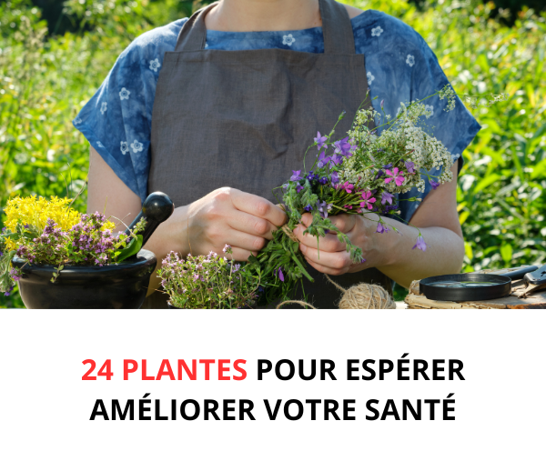 SDN x TBN – Multi-ads n°5