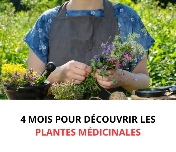 SDN x TBN – Multi-ads n°6