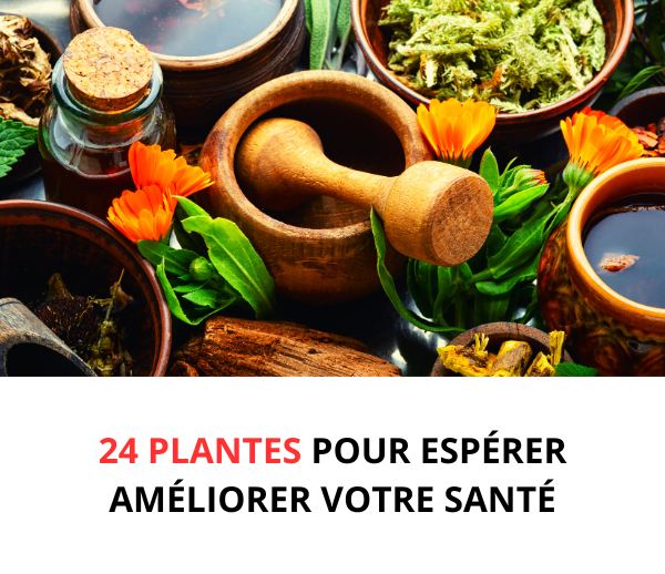 SDN x TBN – Multi-ads n°8