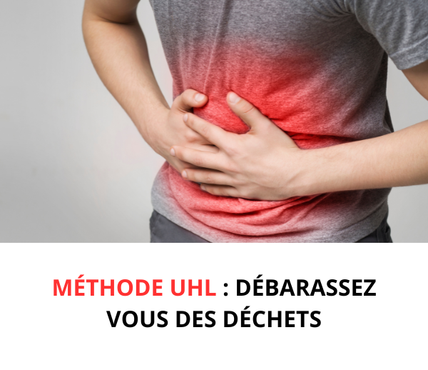 SDN x UHL – Multi-ads n°8
