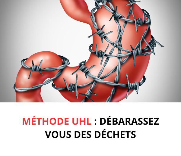 SDN x UHL – Multi-ads n°9
