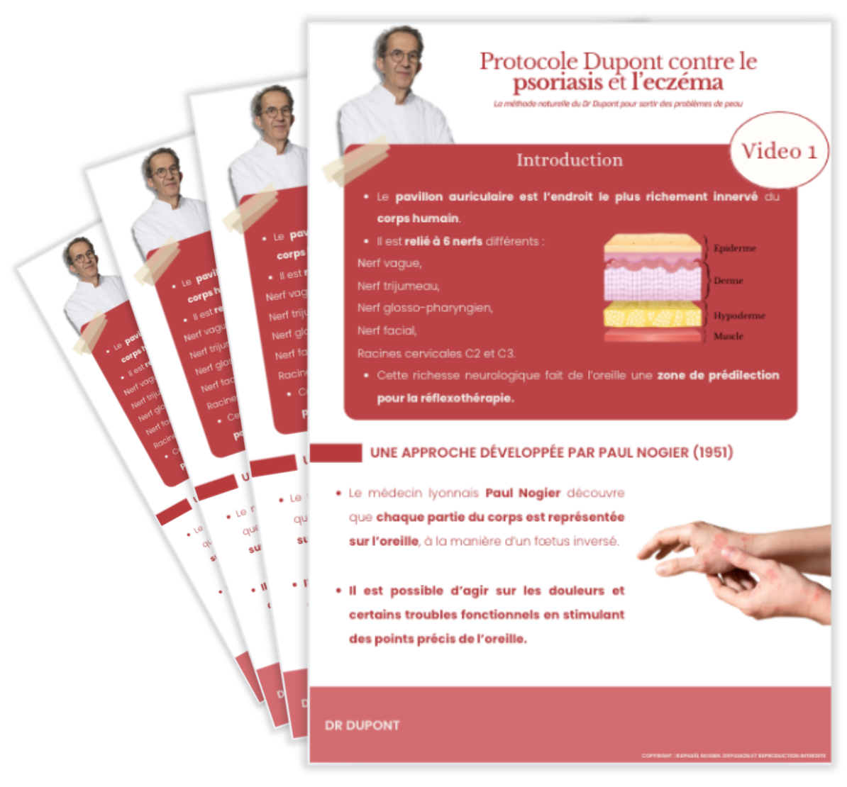 Fiches récapitulatives